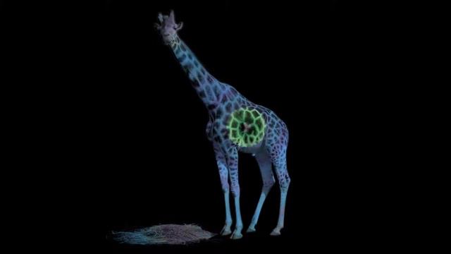 Ultra HD-Animated Giraffe 4K Video Loop Live Wallpaper| Loop Video Background FREE DOWNLOAD FULL HD смотреть онлайн