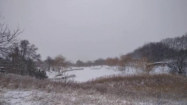 Разочарование года Роза Шпатель смотреть онлайн