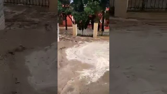 Село Яныклы Товузского района смотреть онлайн