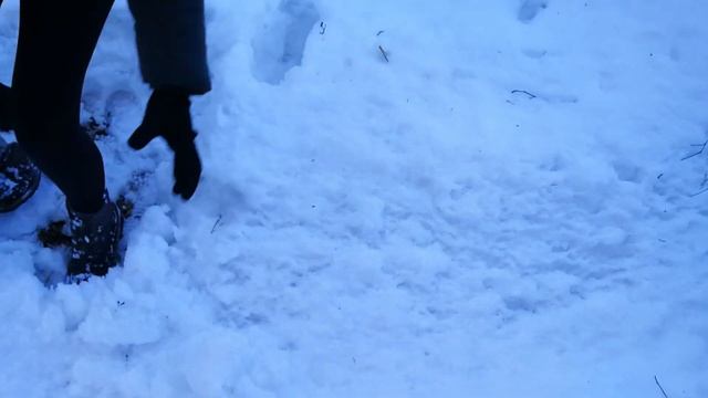 Поход вокруг Аудрувалд. Юг Эстонии 2019 #АртёмКарев смотреть онлайн