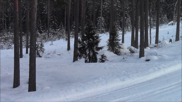 Test Kongsvinger, 02.02.12, Eyvind Brynildsen Ford Fiesta RS WRC смотреть онлайн