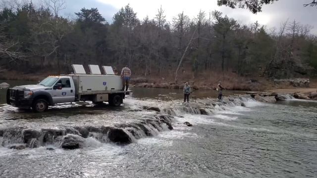 Рыбалка в США по форели | Trout fishing смотреть онлайн