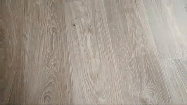 Дикий Скричер смотреть онлайн