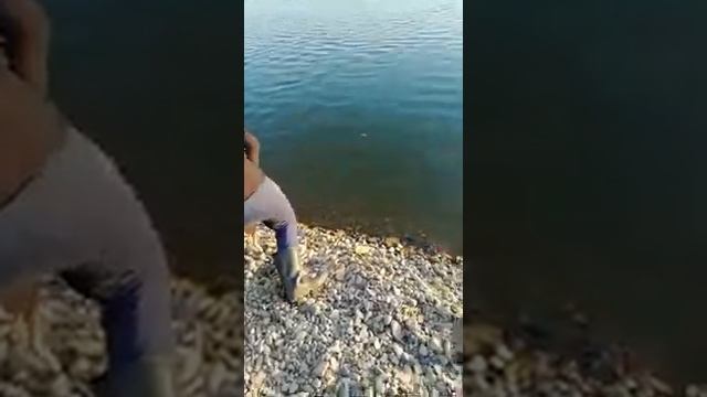 Ловлю огромного тайменя смотреть онлайн