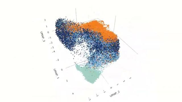 An integrated transcriptomic atlas: 3D UMAP visualization of alloreactive CD4 T cell migration... смотреть онлайн
