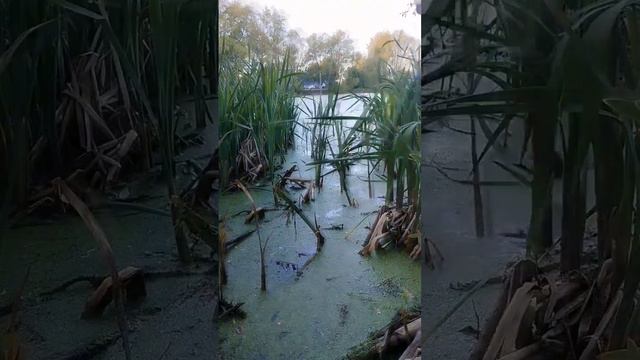 Лучшая рыбалка в 2024 года !