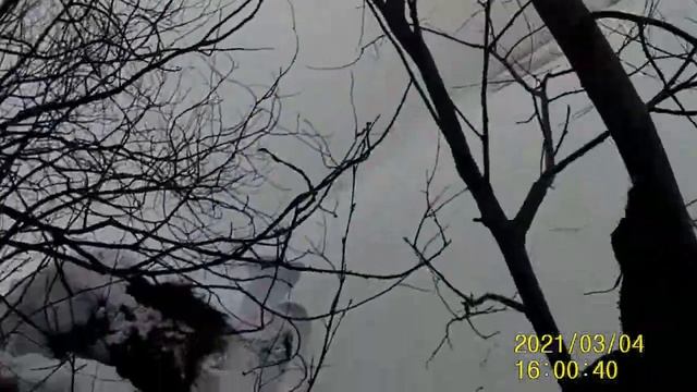 сбор за сеном дт75