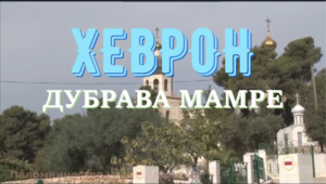 Дубрава Мамре, Хеврон. Паломничество казака Георгия на Святую Землю. Путешествие в Израиль.