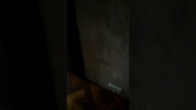 Мой влог. Куда пропала Соня смотреть онлайн