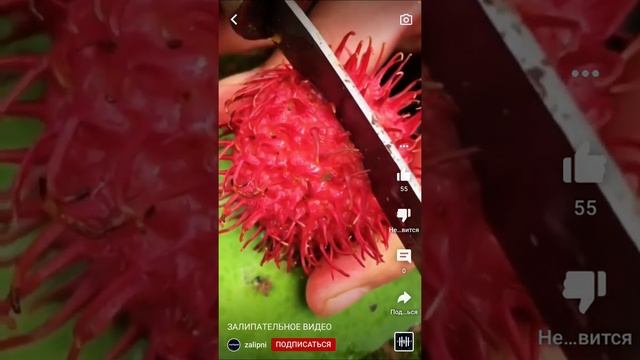 Самые залепательные видео смотреть онлайн