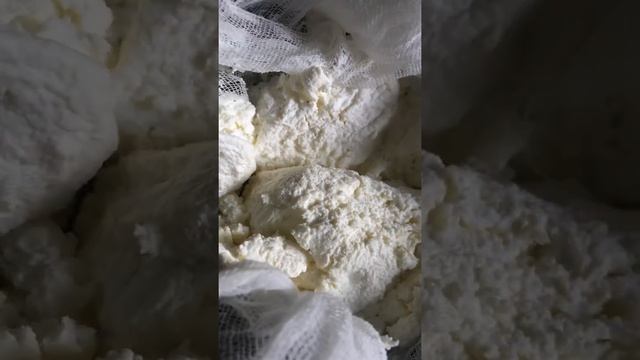 ТОЛЬКО кефир и СЫР готов смотреть онлайн