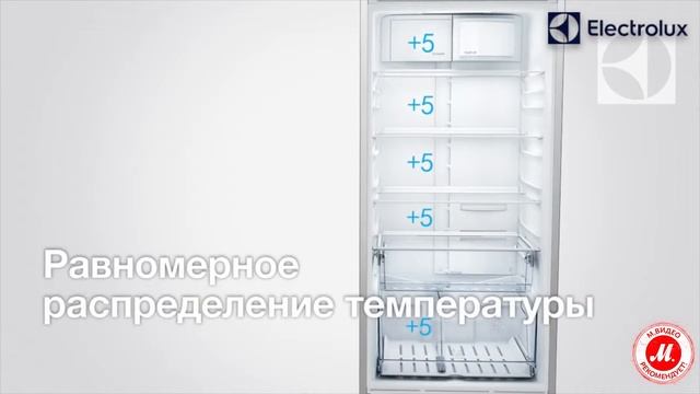 Холодильник Electrolux EN93852JX смотреть онлайн