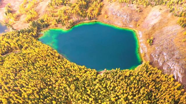 4K HDR 60fps Dolby Vision Россия