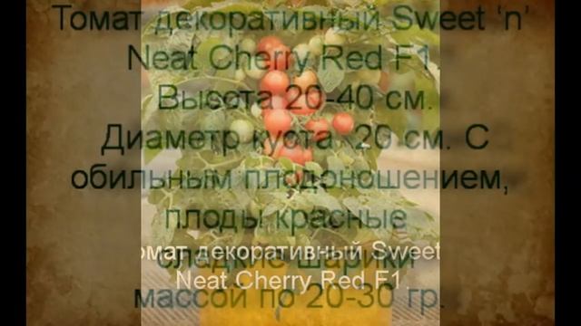 Томаты на 2017 г. Черри, балконные, ампельные сорта. смотреть онлайн