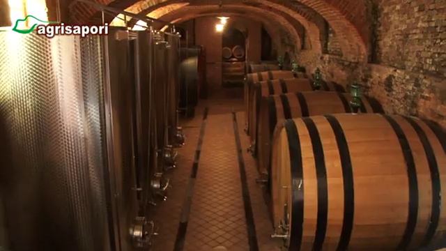 Creare qualità nella filiera della carne - La Mimosa di Seborga - Vini da terre estreme смотреть онлайн
