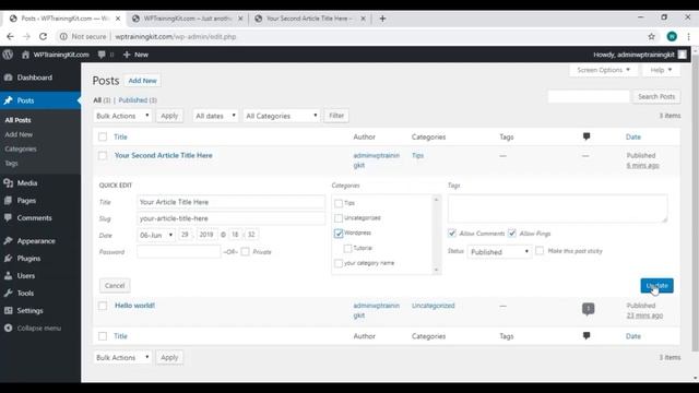 Video 13 Tags and Categories in WordPress смотреть онлайн