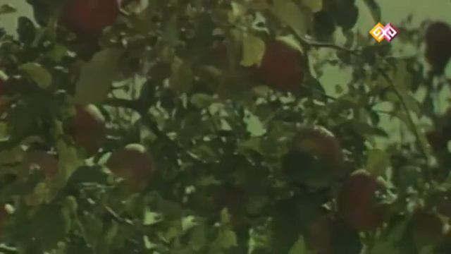 "Ұлы даланың құпиялары" - 03.02.2016 смотреть онлайн