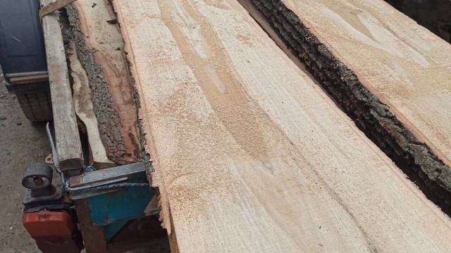 Дубок на один зубок:)) смотреть онлайн