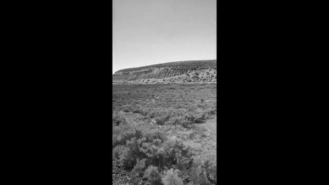 BW Life In Train Piano Violin