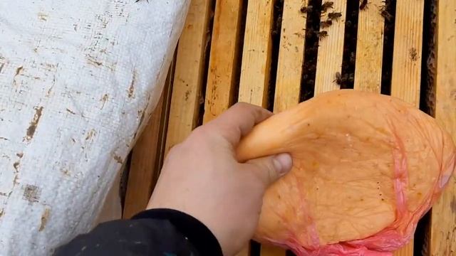 Пасека с нуля. Раздаем канди пчелам .