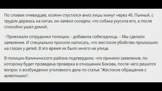 бывший полицейский выбросил с шестого этажа щенка овчарки смотреть онлайн