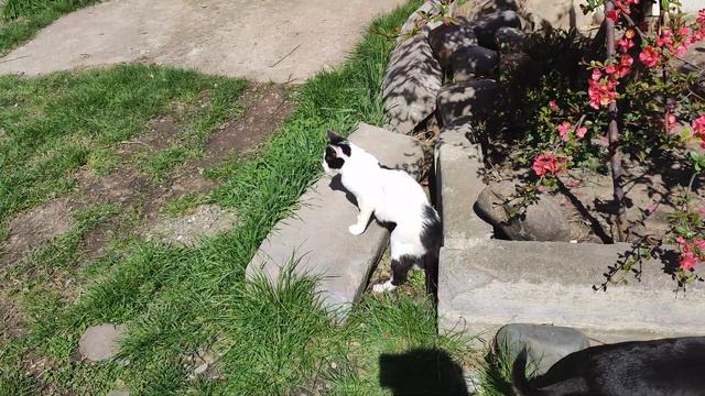 Что делать? как быть? руки опускаются смотреть онлайн