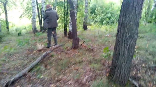 КАК МЫ СОБИРАЛИ ЧЕРНЫЕ ГРУЗДИ.