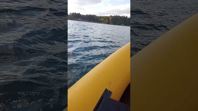 пеликан +ямаха 3 , 21км в час смотреть онлайн