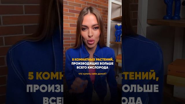 5️⃣ комнатных растений, производящих больше всего кислорода. Что купить себе домой? В описание ⬇️ смотреть онлайн