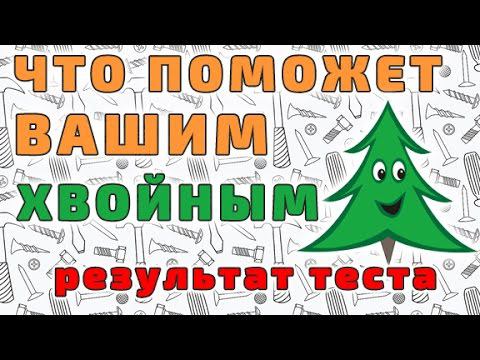 Удобрение для хвойных, которое помогает! смотреть онлайн