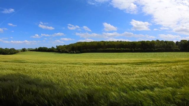 4K (Ultra HD) | Поле, свежий воздух и умиротворяющая музыка для сна. Релакс на 1 час. смотреть онлайн