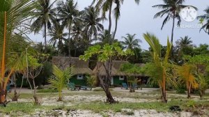 Kuredu Island Resort & Spa• Чем кормят? Прогулка по острову•Чудесные Мальдивы! Отпуск продолжается