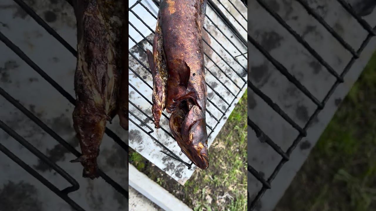 Ай вкуснота, ай красота #рыбалка #палатка #снежинск #рыба #fishing #север смотреть онлайн