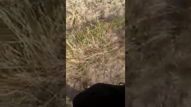 Georgina Update Film 10092019 5 смотреть онлайн