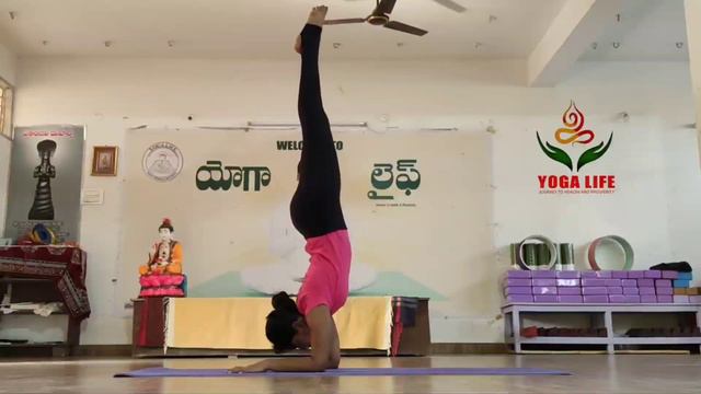 DevikaYoga Lotus Forearm Balance/Pincha Mayurasana in Padmasana смотреть онлайн