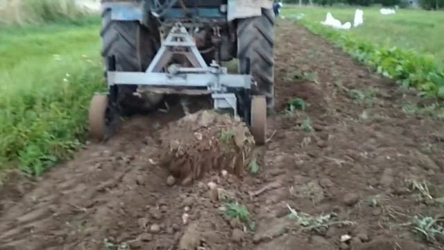 Самодельная картофелекопалка на т-40. Битва за урожай)) смотреть онлайн