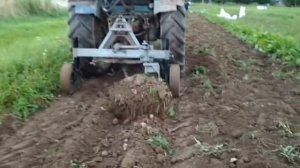 Самодельная картофелекопалка на т-40. Битва за урожай))