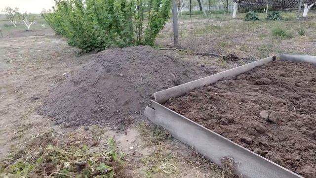 Пересадка земляники весной - уход и посадка в грунт смотреть онлайн