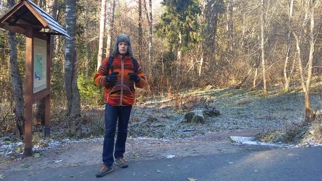 Начало тропы Комаровский берег. Экологические экскурсии в Петербурге. смотреть онлайн
