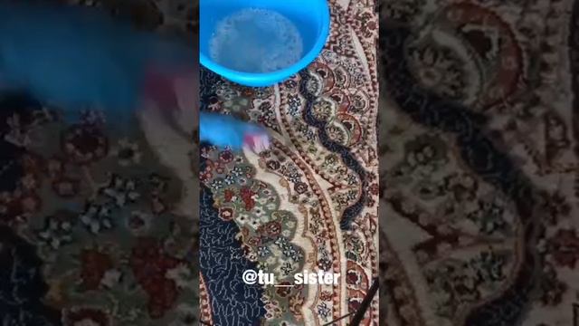 Чистим ковёр.