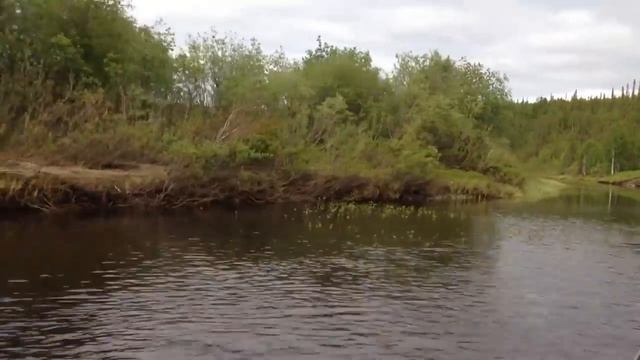 По шарью на Аэроглиссере.mp4 смотреть онлайн