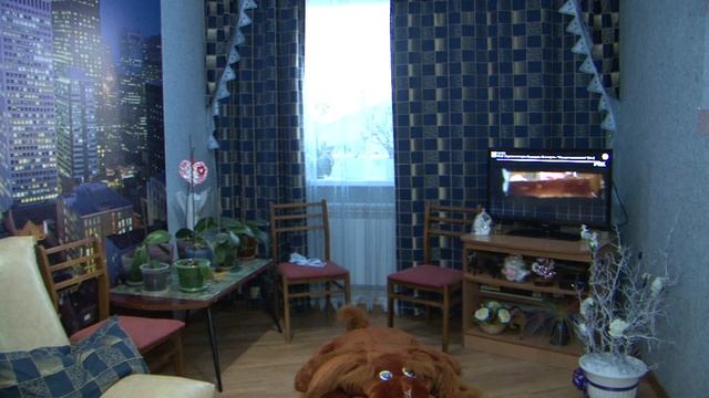 Где расположить телевизор смотреть онлайн