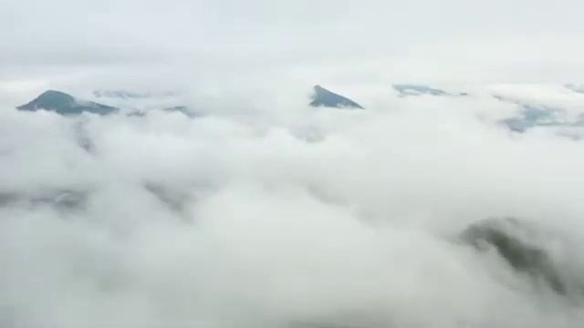 Душевное стихотворение "моя душа...." смотреть онлайн