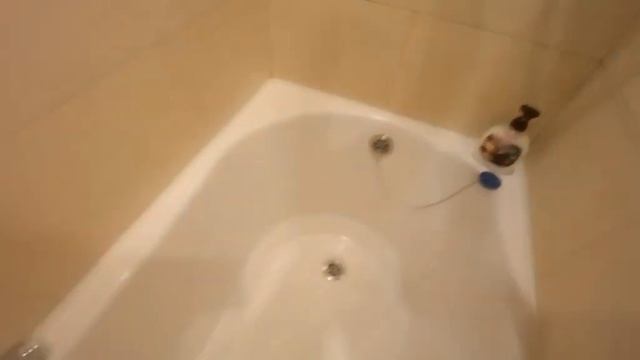 ЕСТЬ ПРИЧИНА ДЛЯ ТЩАТЕЛЬНОЙ УБОРКИ КВАРТИРЫ. смотреть онлайн