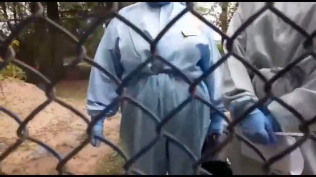 врачи пришли мазок брать смотреть онлайн