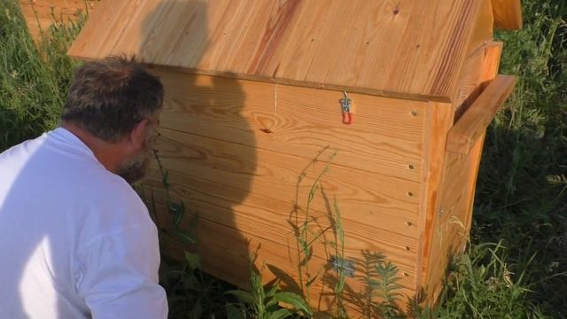 Сравнение двух технологий вождения пчел: индустриальной и ленивой