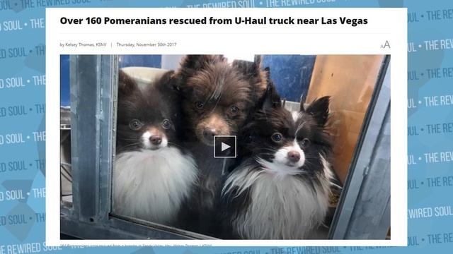 Why Billie Eilish SNAPPED On Her Instagram Story | The Rewired Soul смотреть онлайн