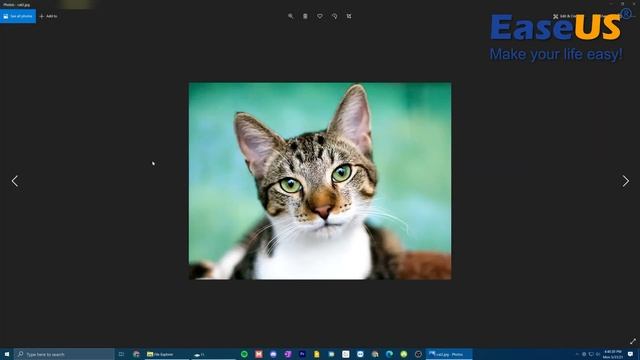 Recover Files from Formatted USB, SD or Memory Card смотреть онлайн