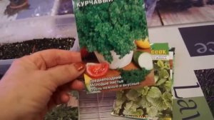 СЕЕМ ПЕНСТЕМОН многолетний и однолетний  ЧАСТЬ  1