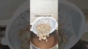 Как приготовить говяжьи почки вкусно!!!